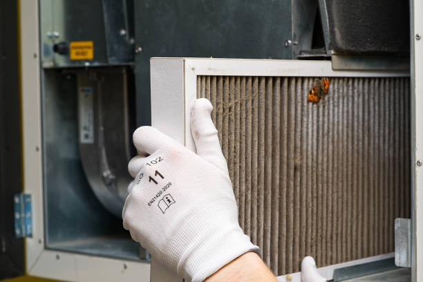 Best Dryer Vent Cleaning Services  in Bayou Lourse, LA