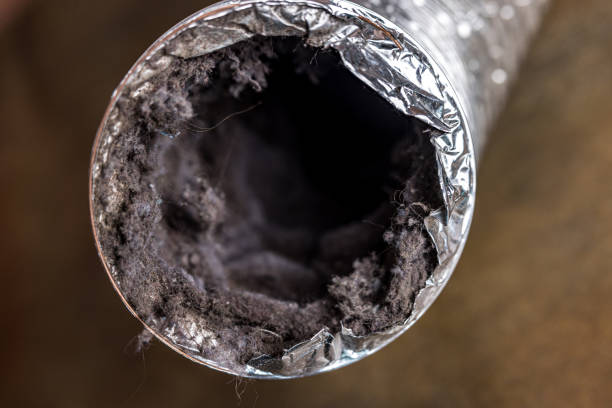 Best HVAC Maintenance and Cleaning  in Bayou Lourse, LA